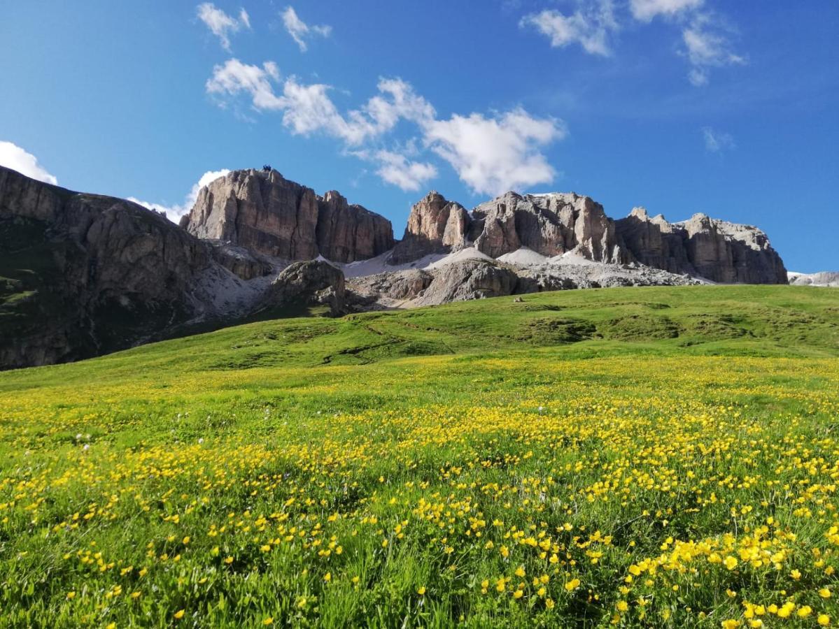 Hotel Col Di Lana Canazei Dış mekan fotoğraf