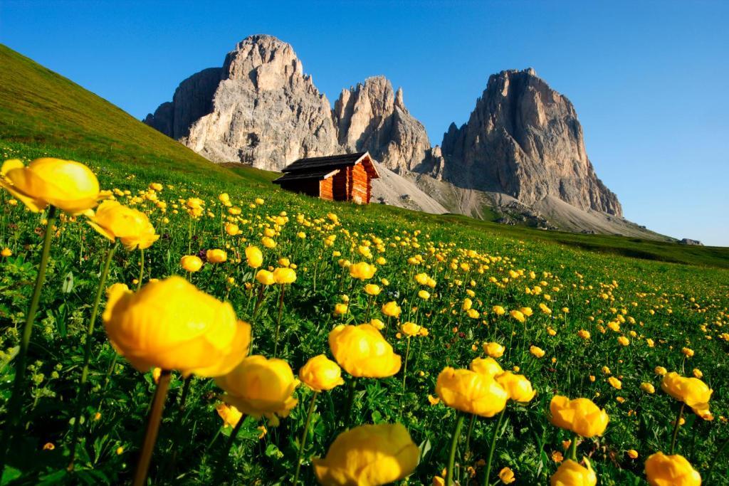 Hotel Col Di Lana Canazei Dış mekan fotoğraf